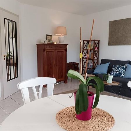 Strasbourg 3 Pieces Avec Jardin Apartment Brumath Luaran gambar