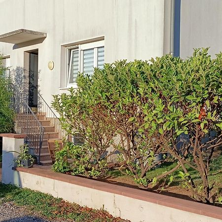 Strasbourg 3 Pieces Avec Jardin Apartment Brumath Luaran gambar