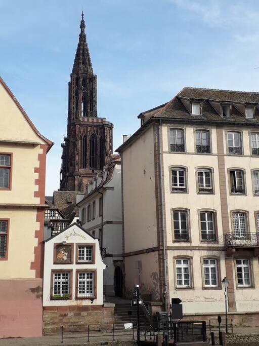 Strasbourg 3 Pieces Avec Jardin Apartment Brumath Luaran gambar