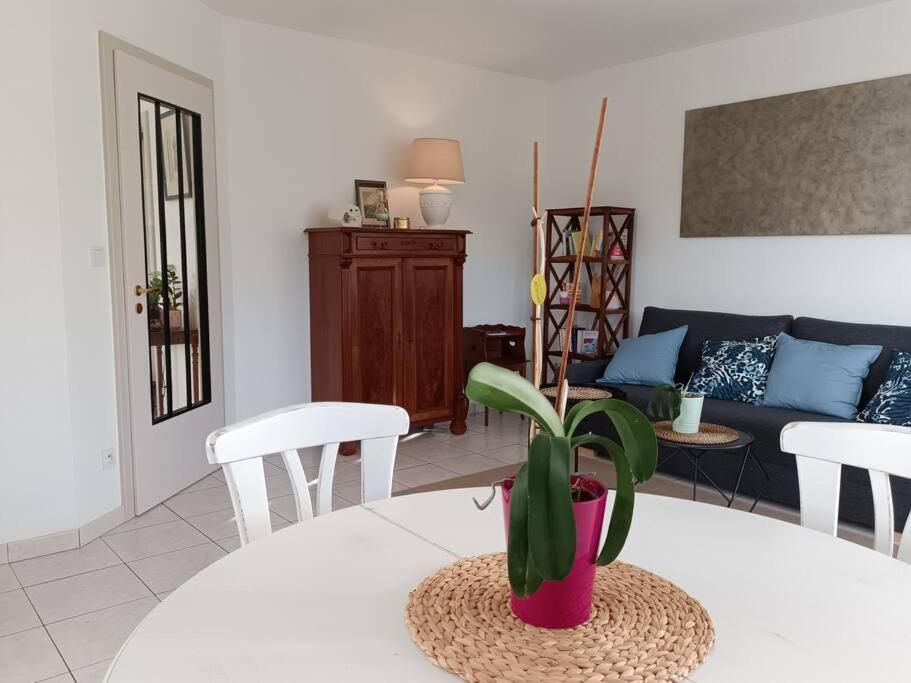 Strasbourg 3 Pieces Avec Jardin Apartment Brumath Luaran gambar