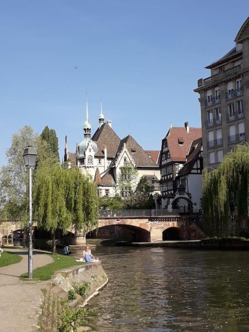 Strasbourg 3 Pieces Avec Jardin Apartment Brumath Luaran gambar