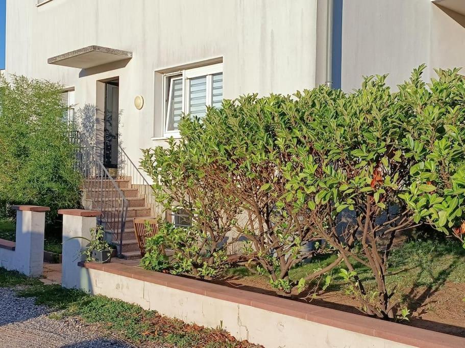 Strasbourg 3 Pieces Avec Jardin Apartment Brumath Luaran gambar